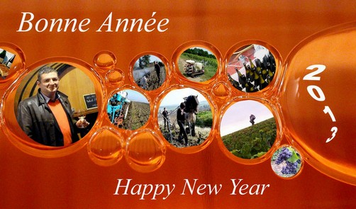 Champagne Bonne Année - Happy New Year 2013